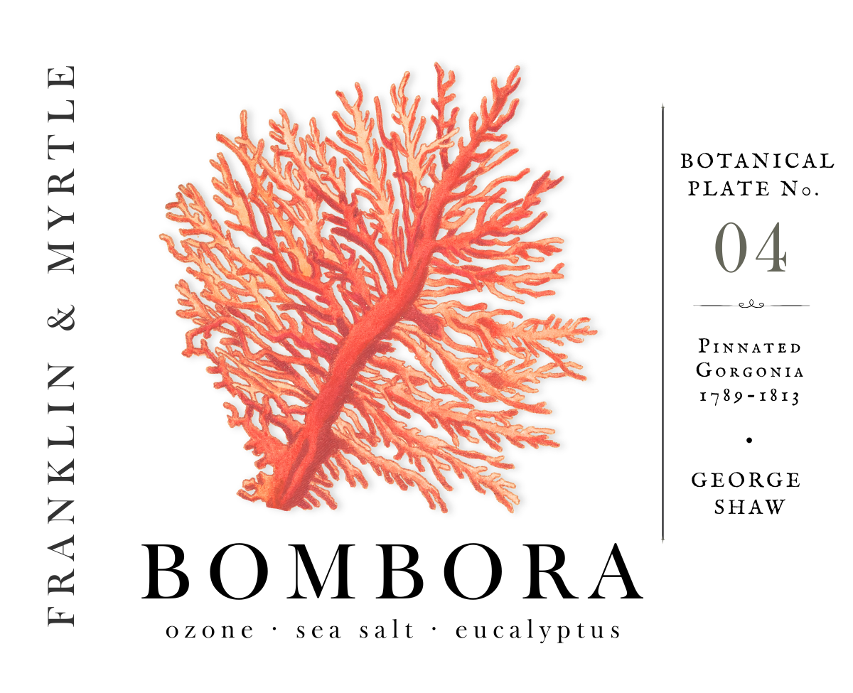 Bombora Candle