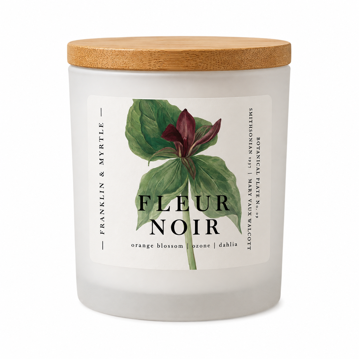 Fleur Noir