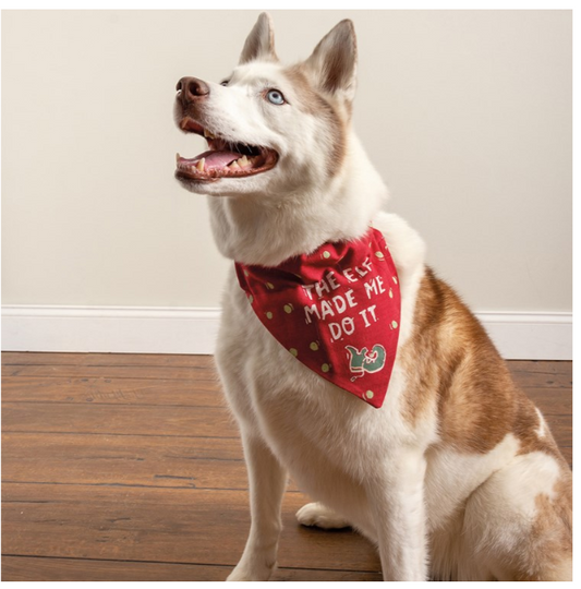 Festive Reversible Dog "Elf Made Me Do It" Christmas Collar Bandana | Cozy Pet Collection